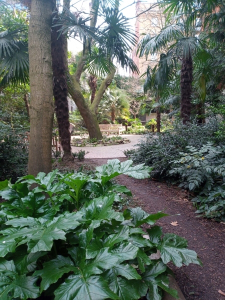 St George’s Fields